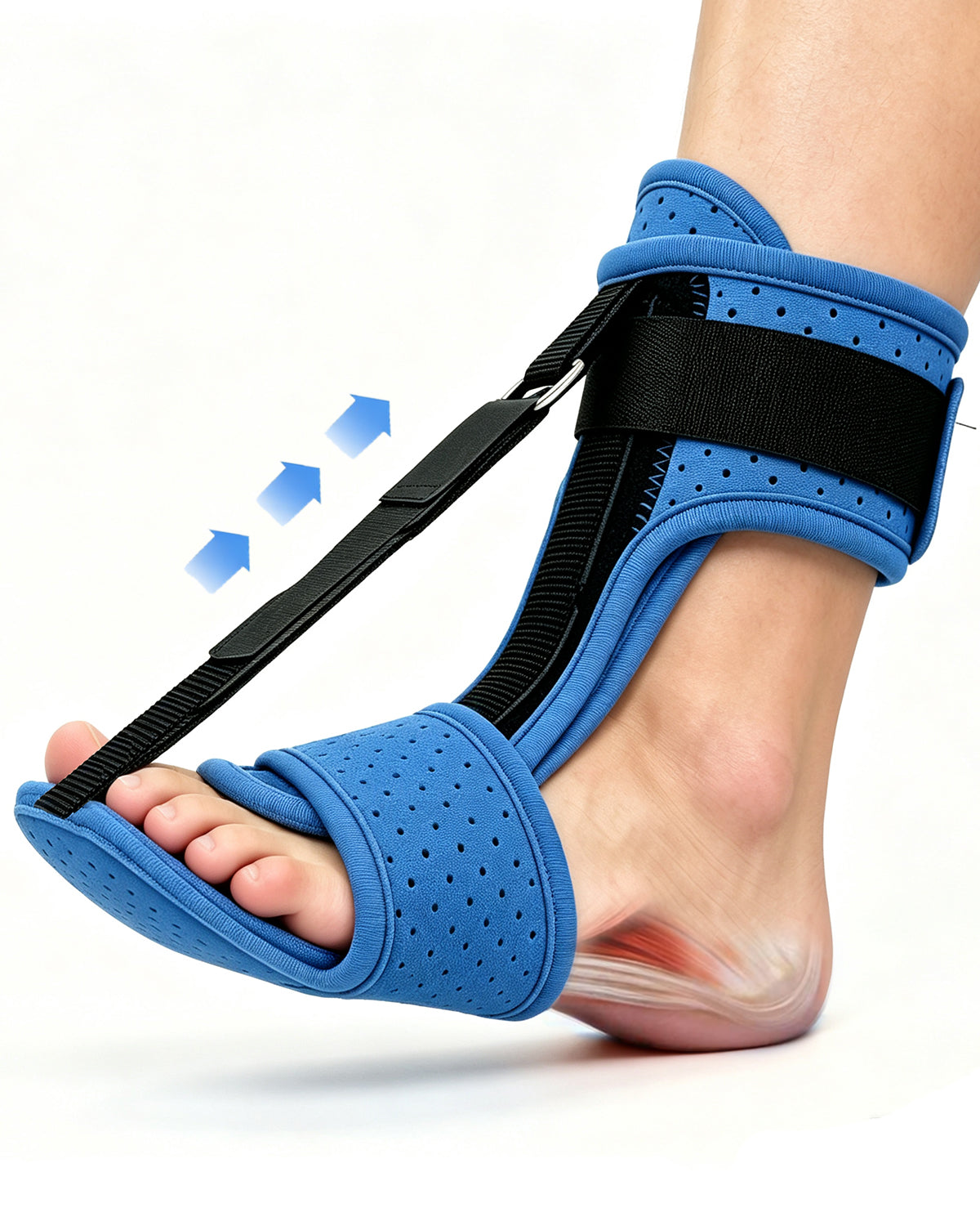 Plantar Fasciitis Night Splint, One Lightweight Foot Brace for Heel Pain